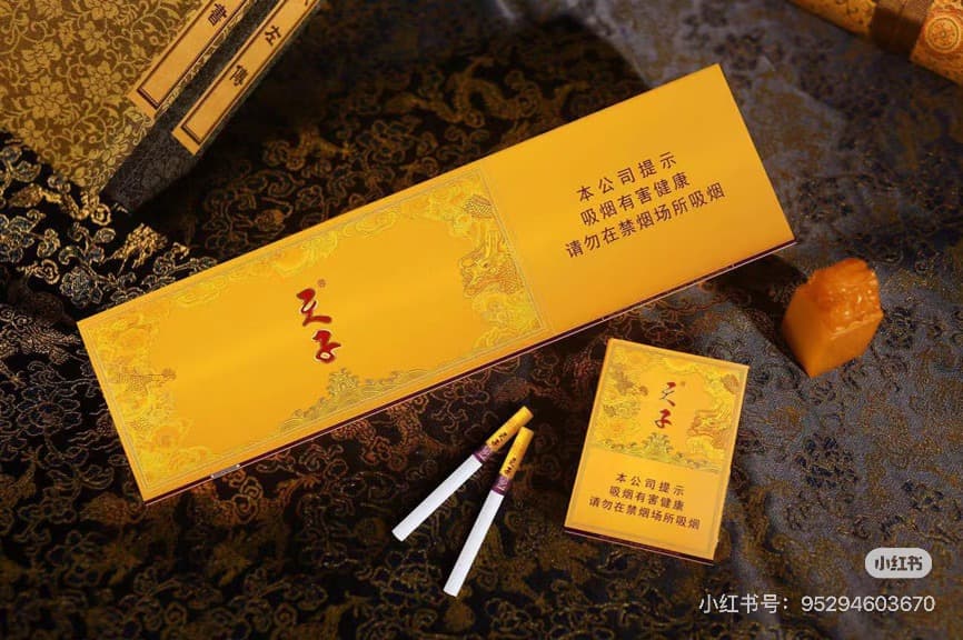 天子中支
