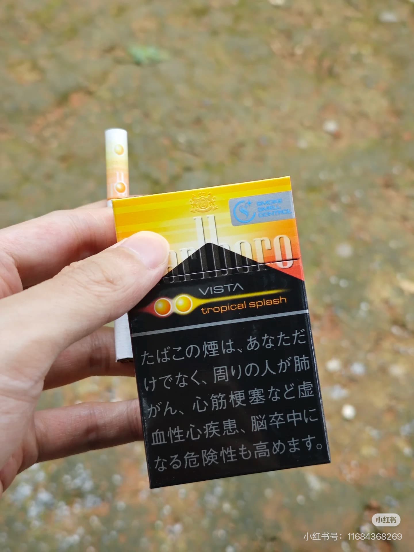 日本万宝路热带水果双爆
