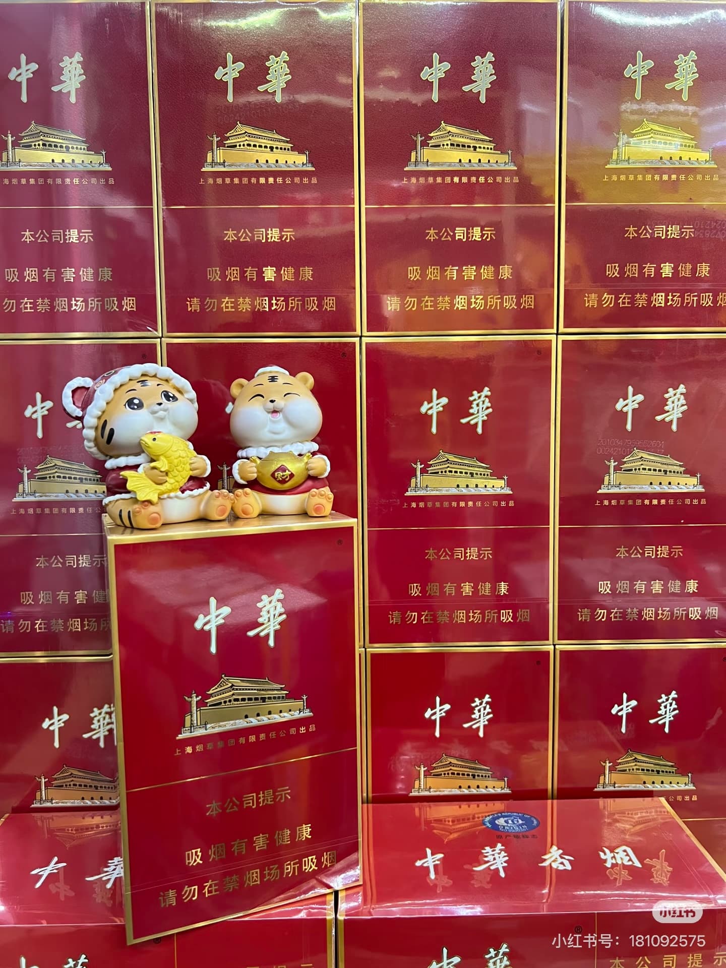 中华金中支